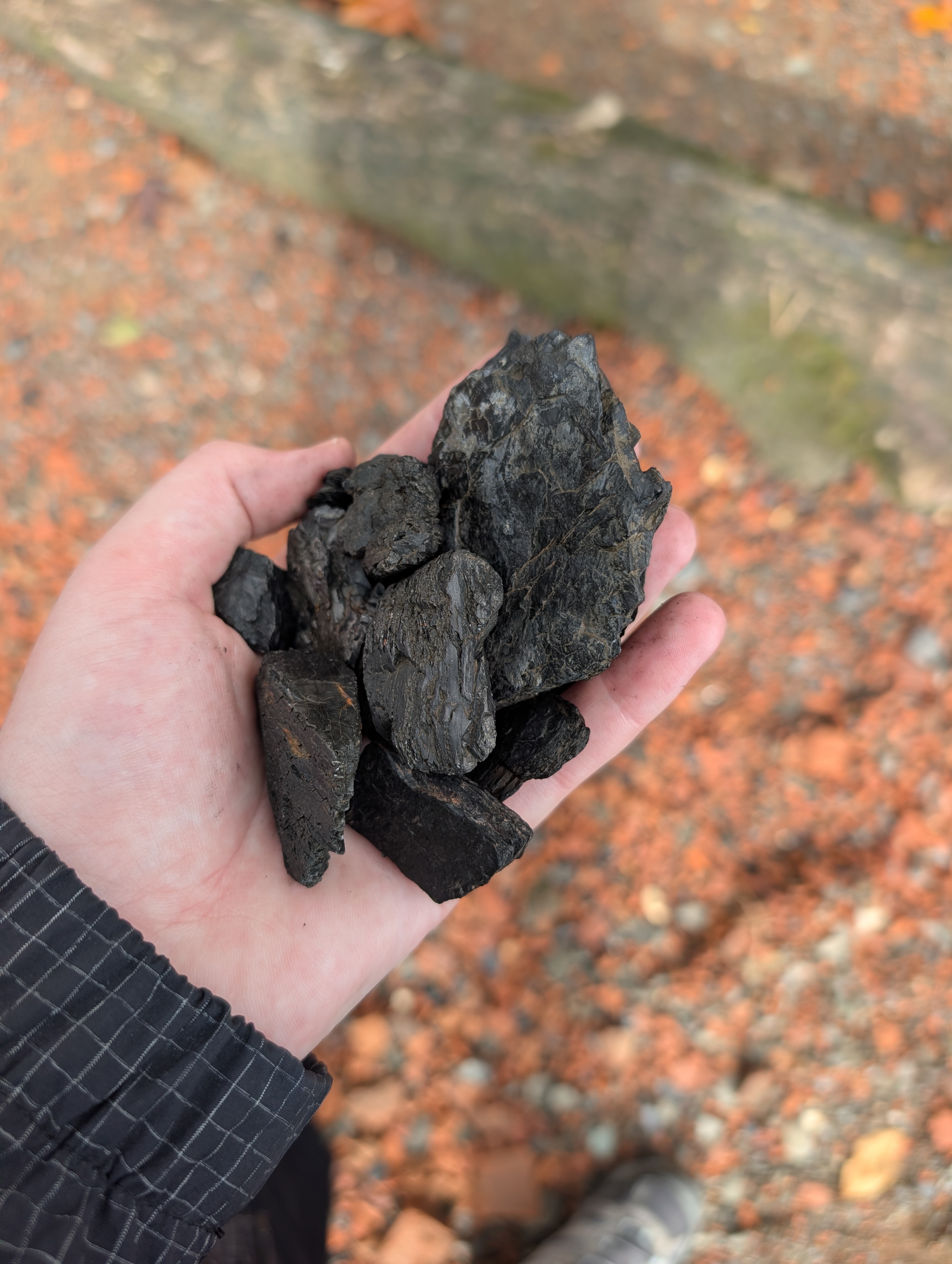 A handful of slightly shiny black rocks